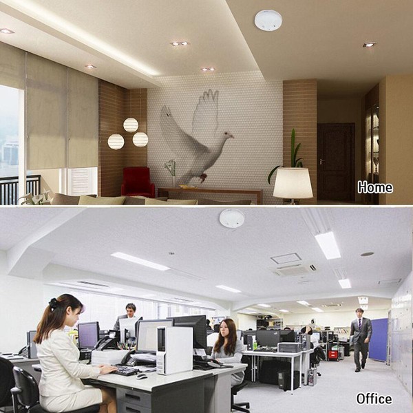 Modern home interior and busy office workspace.