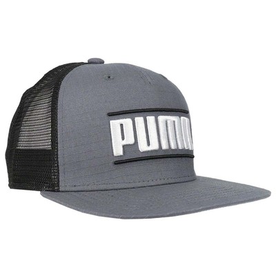 

Мужская кепка Puma Bennet Trucker Размер  85859002, Grey, Puma Bennet Trucker Cap