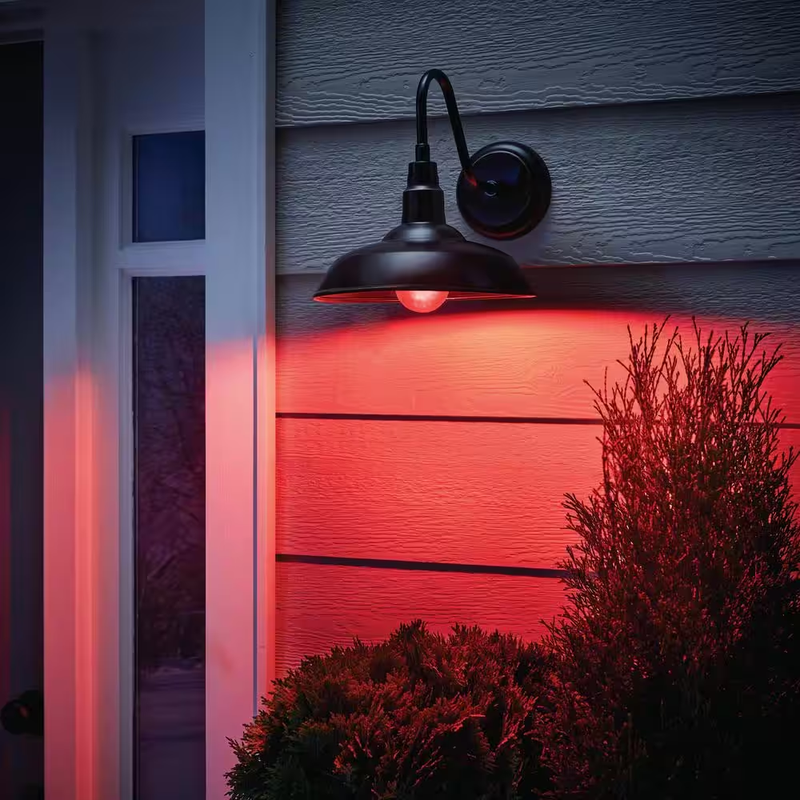 40 Watt Equivalent A19 Dimmable Filament Red Colored Glass LED Light Bulb 1 Pack
