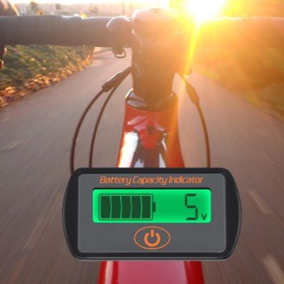 Battery Capacity Indicator SOC Combo Meter Lead Acid 12V24V36V48V lithium Li-ion
