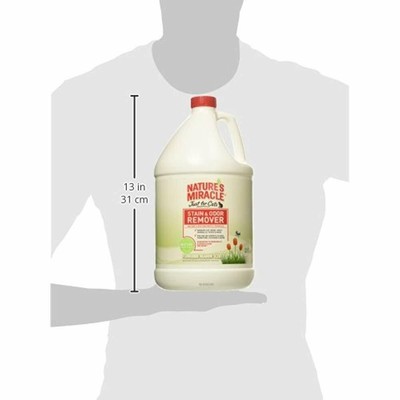 Nature's Miracle Just For Cats Stain And Odor Remover, Flower Meadow, 1Gal Pet