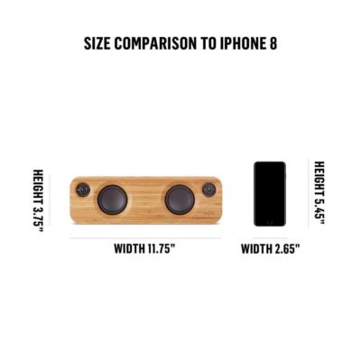 get together mini palm