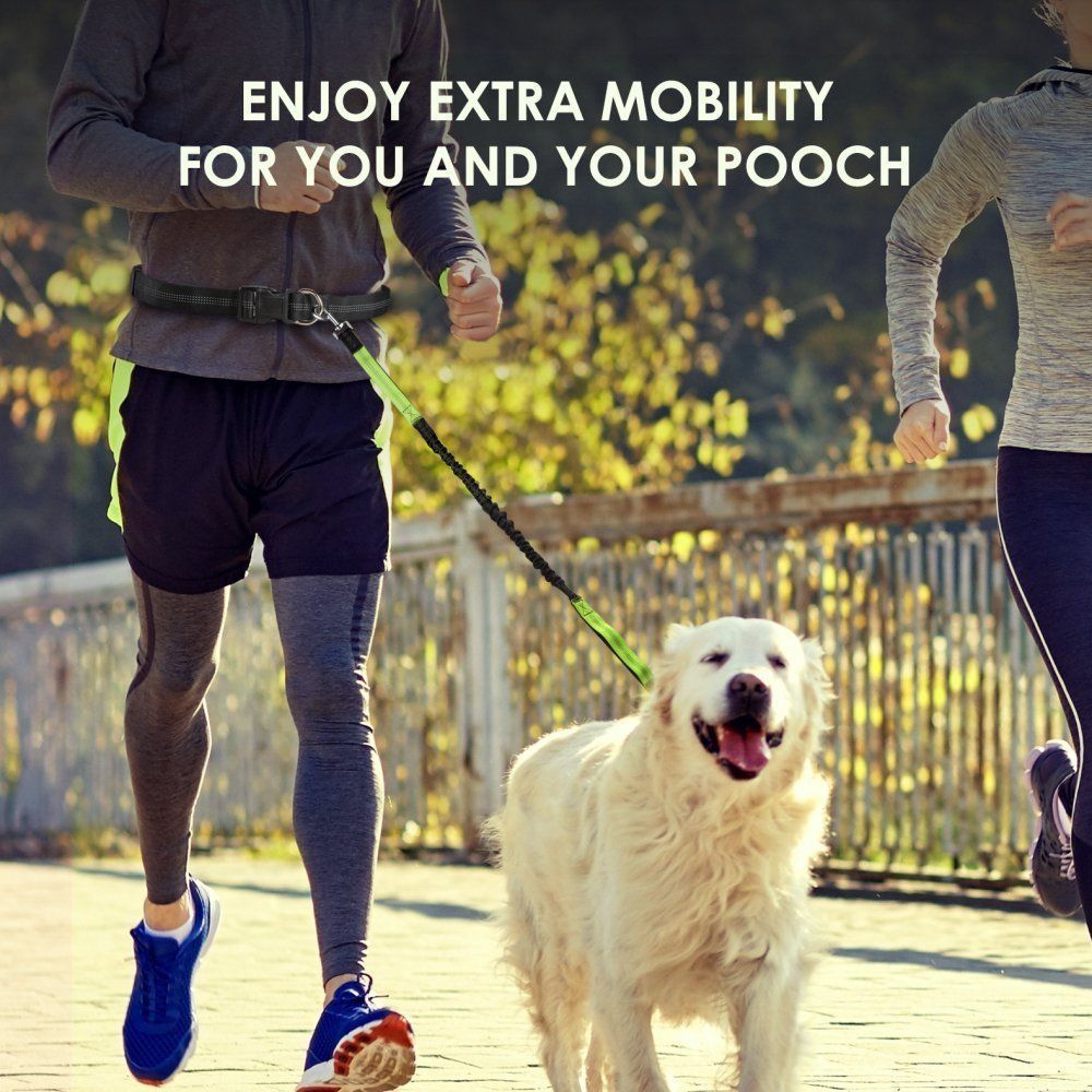 KiddyWoof Hands Free Dog Leash Lead Walking Belt Running Skating Bike riding