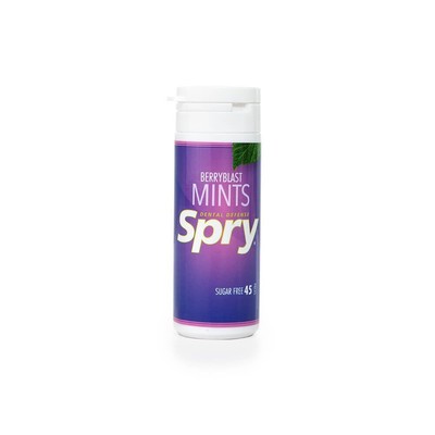 Xlear Spry Mint - Berry Blast тюбик 45 карат