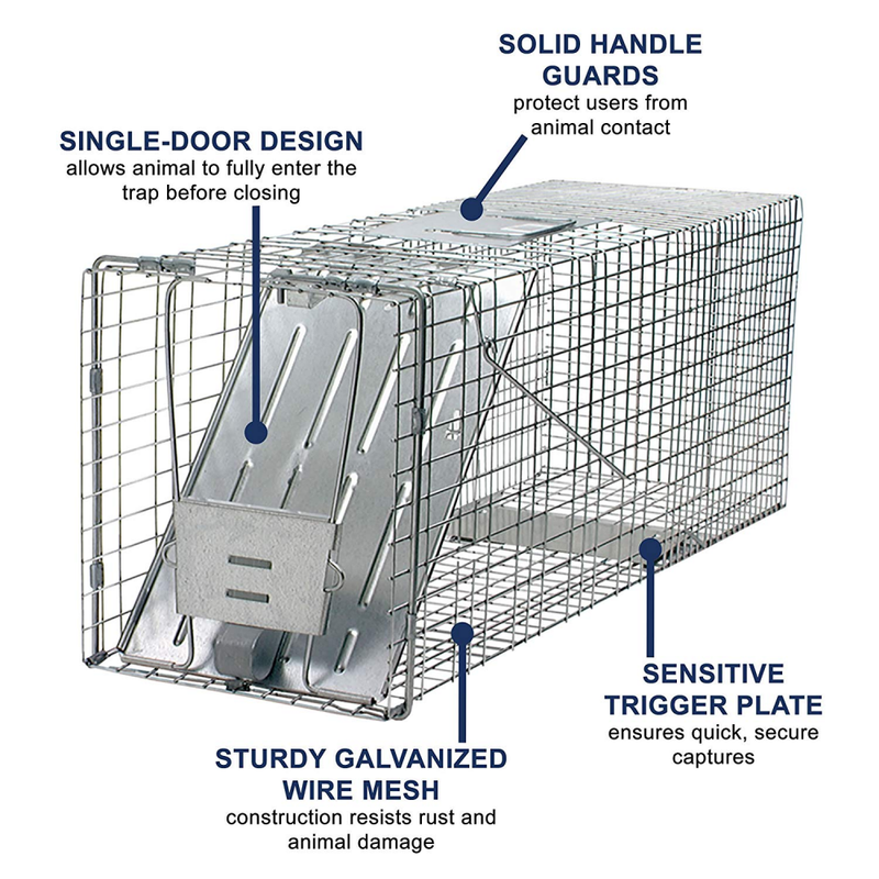 Havahart 1079 Large 1-Door Humane Animal Trap for Raccoons, Cats, Groundhogs, Op