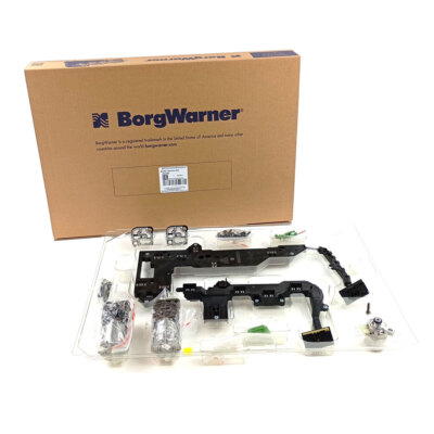 Borgwarner 202383 DL501 Service Kit for DSG S-TRONIC Audi A4 A5 A6 A7 Q5 RS4 RS5