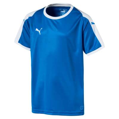 

Puma Liga Logo Футболка с круглым вырезом и коротким рукавом для мальчиков Молодежная синяя 703418-02, Синий, Puma Liga Logo Crew Neck Short Sleeve Soccer Jersey Youth