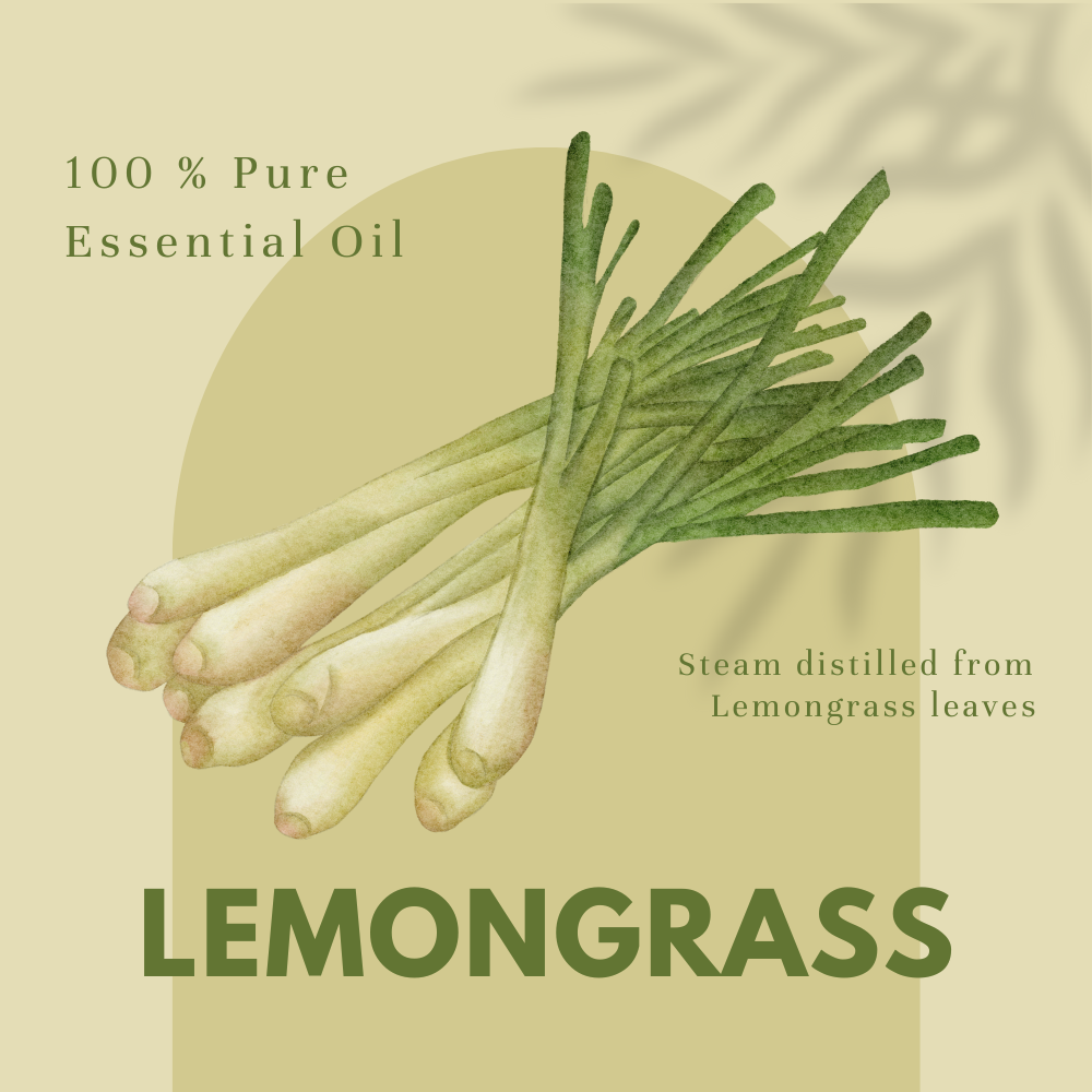 8 fl oz Lemongrass Essential Oil (100% Pure & Natural) in Amber Glass Bottle