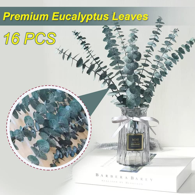 Preserved-Dried-Eucalyptus-Stems,17" Pure Natural Eucalyptus Plant Live Fresh, R