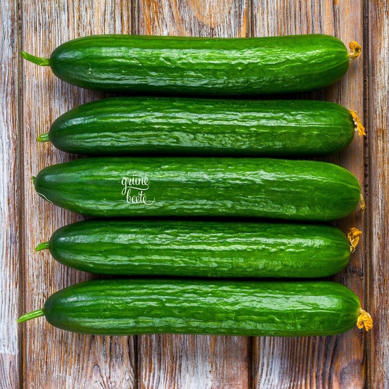 Freilandgurke Tessa F1 10 Samen Cucumis Sativus Robust Ertragreich Saftig Gurke