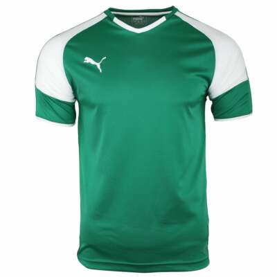 

Джерси футбольное мужское Puma Borussia VNeck зеленый 703038-08, Puma Borussia VNeck Soccer Jersey
