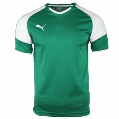 Джерси футбольное мужское Puma Borussia VNeck зеленый 703038-08