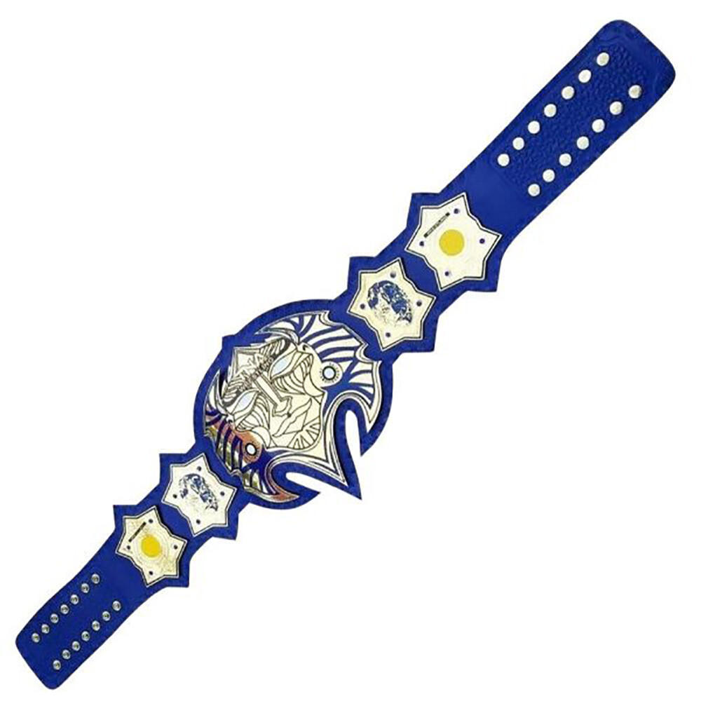 TNA JEFF HARDY BELT WRESTLING CHAMPIONSHIP BELT ADULT SIZE REPLICA BELT 2MM/4MM - Picture 4 of 4