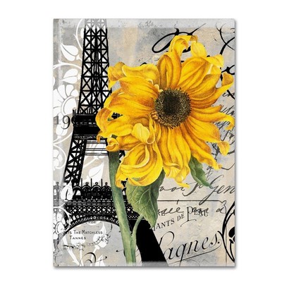 14x19-Inch Paris Blanc, 14 in x 19 in