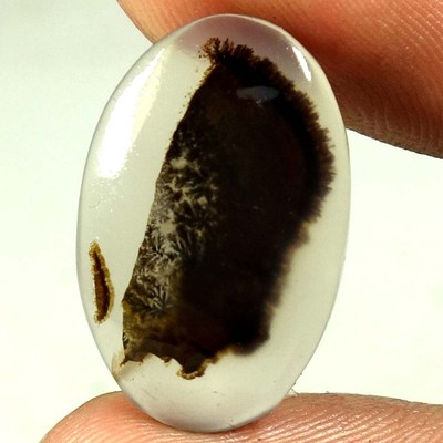 10.60Cts 100% Genuine Scenic Dendrite Agate Gemstone Oval Cabochon 14x 22x 04mm