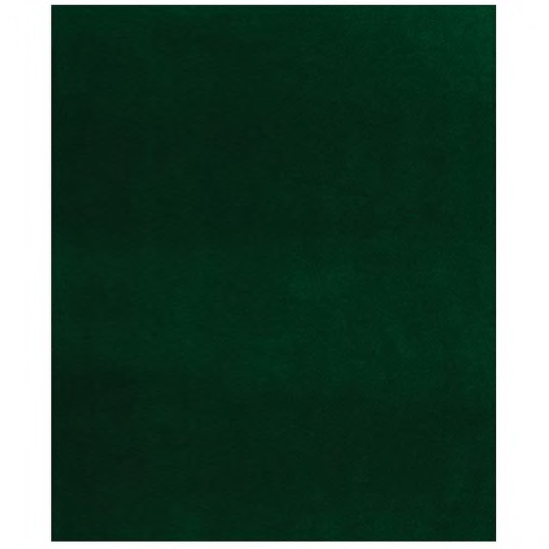 6 ft x 8 ft Fairway Indoor Outdoor Area Rug Green Grass Floor Patio Deck Golf