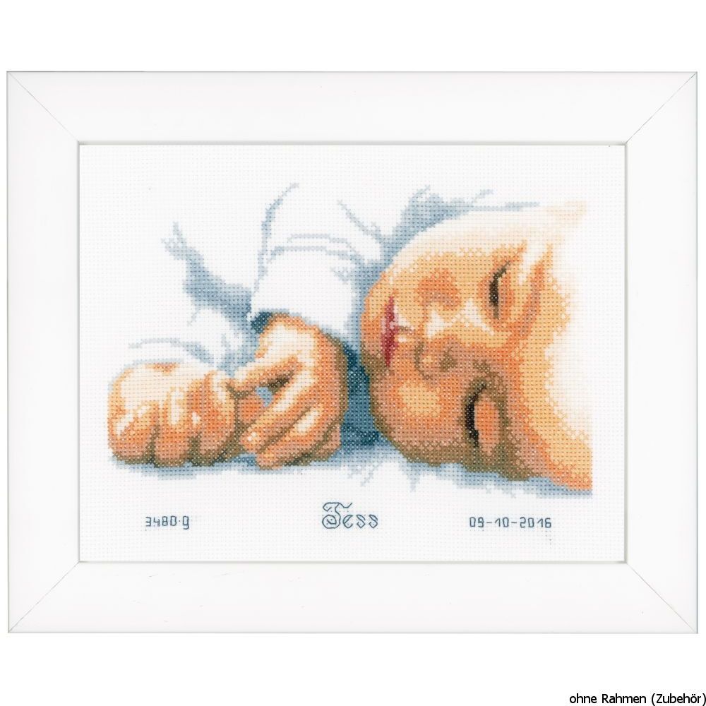 Vervaco Counted cross stitch kit Newborn, DIY
