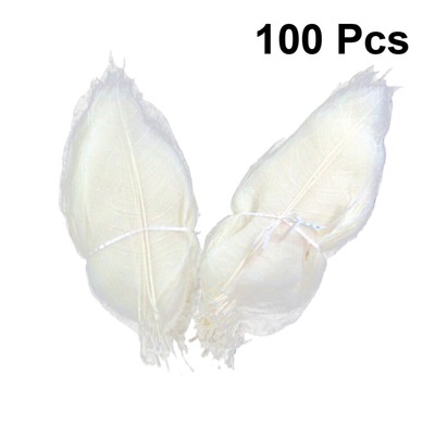 100PCS Craft Skeleton Leaves scrapbooking leaf embellishments skeleton leaves