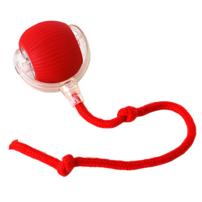Automatic Rolling Ball Smart Cat Dog Toy Electric Pet Self-moving Kitten Game US