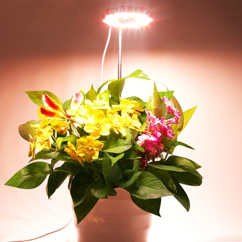 For Indoor Plants, Full Spectrum Plant Halo Lights With Red Light