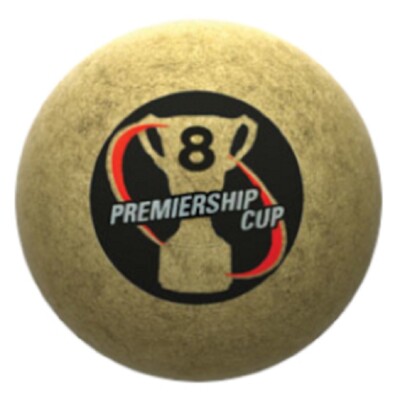 AFL PREMIERSHIP CUP 8 BALL   ARAMITH   2 