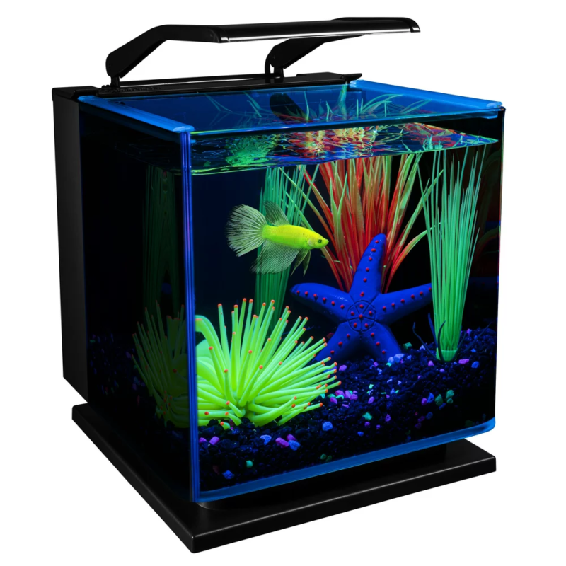 FISH TANK Aquarium Kit 3 Gallons, Includes LED Lighting and 