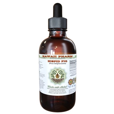 Hispid Fig (Ficus Simplicissima) Organic Dried Root Liquid Extract