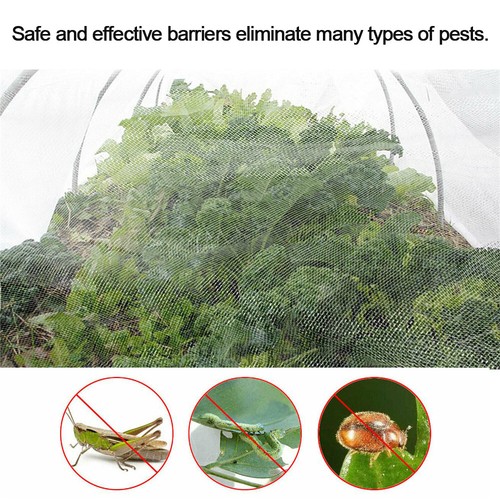 Garden Mosquito Bug Insect Netting Insect Barrier Bird Net Plant