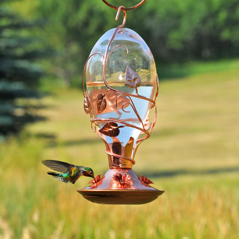 Looking Glass Hummingbird Feeder - 32 Oz. Capacity