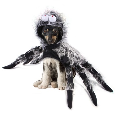 Pet Halloween Funny Spider Clothes Cat Dogs Big and Medium Dog