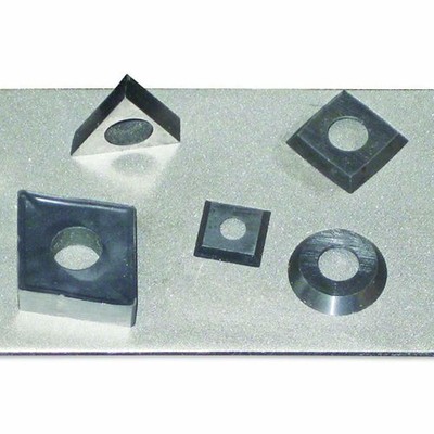 DWS/CS/FF Carvers Stone, Silver -