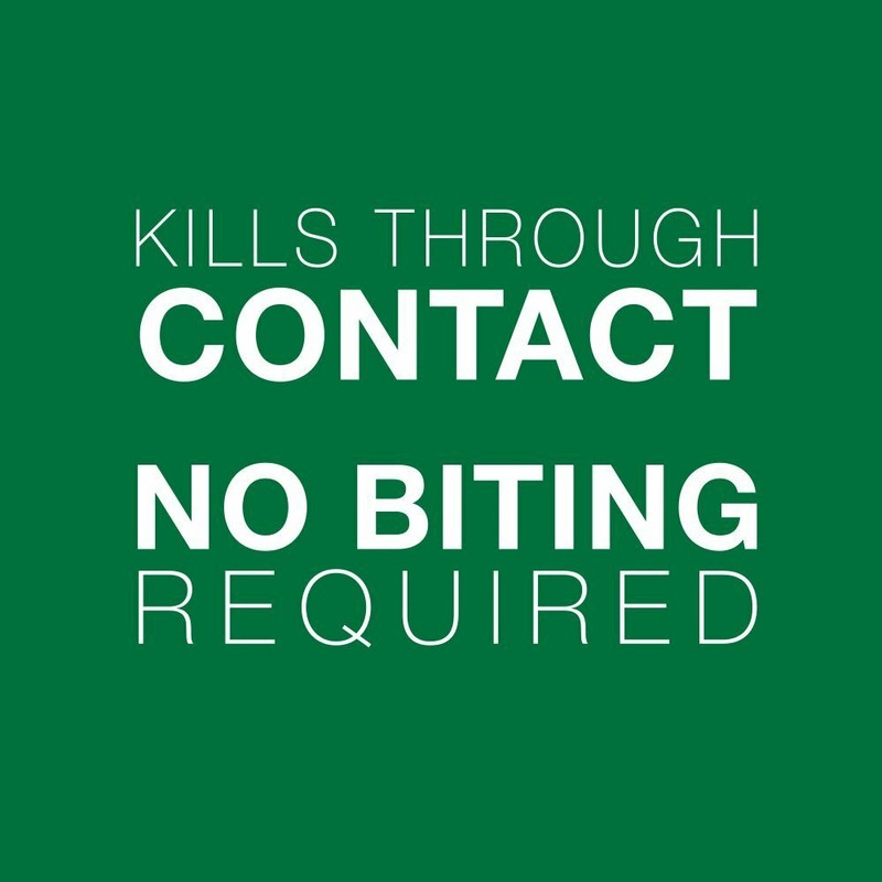 Bayer Advantage II Flea Prevention for Cats