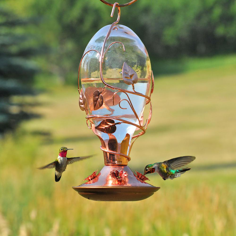 Looking Glass Hummingbird Feeder - 32 Oz. Capacity