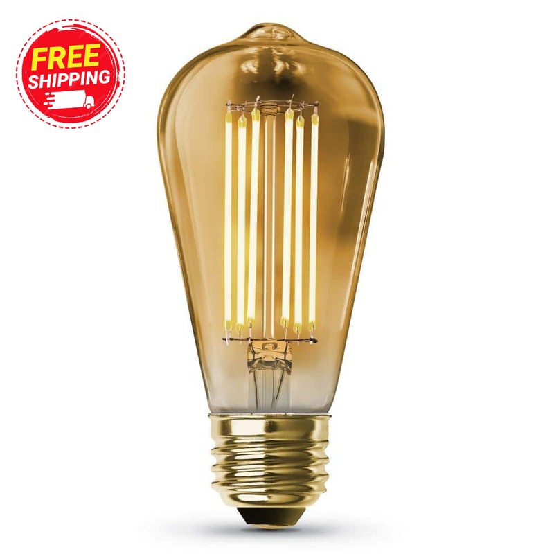 100-Watt ST19 Dimmable  E26 Vintage Edison LED Light Bulb, W