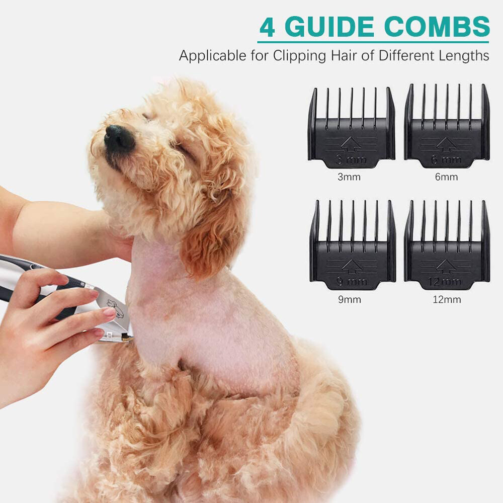 labradoodle grooming kit