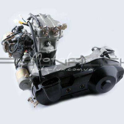 CYLINDER Head TOP end REBUILD KIT Gy6 250cc HONDA HELIX CN250 172mm CFmoto CF250