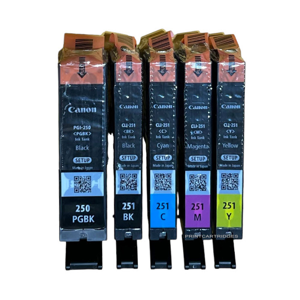 Canon 250 251 Ink Cartridge PGI250 CLI251 Set of 5 NEW OEM Genuine Setup No Box