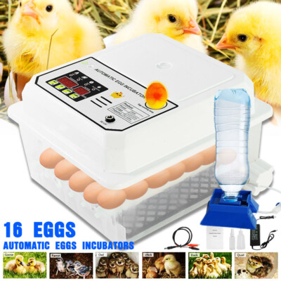 16 Eggs Incubator Digital Automatic Turner Hatcher Temperature Control Alarm