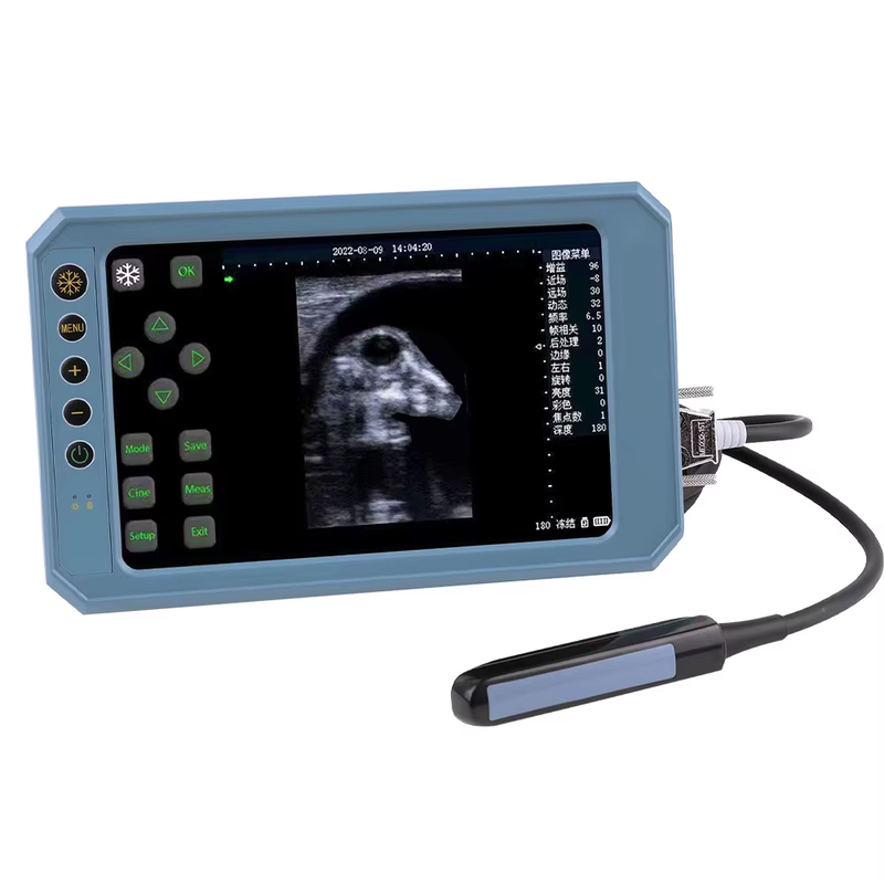 T6 Machine Veterinary Ultrasound Vet B-Ultra Pregnancy Machine Portable veterina