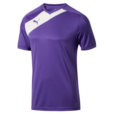 

Puma Santiago Tg Performance Джерси с круглым вырезом и короткими рукавами для мальчиков, размер  6, Фиолетовый, Puma Santiago Tg Performance Crew Neck Short Sleeve Jersey Youth