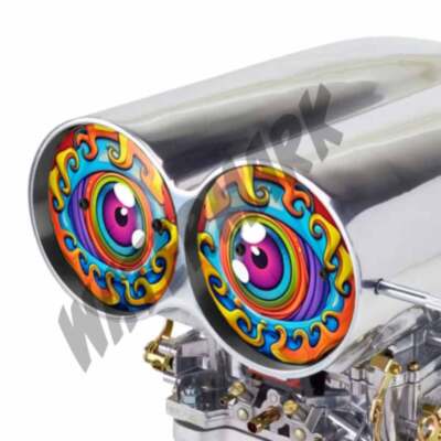 Artistic Crazy EYES VINYL DECAL SHOTGUN AIR INTAKE HOOD SCOOP BUG CATCHER 2PK