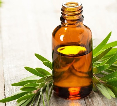 Vets Best Hot Spot Itch Relief Spray for Dogs 8 oz Itch Remedies Pet Supplies