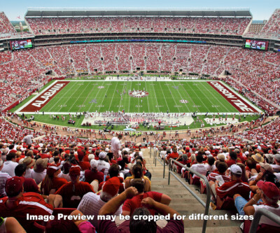 Alabama Crimson Tide Bryant-Denny Football Stadium Field 1120 8x10-48x36 CHOICES