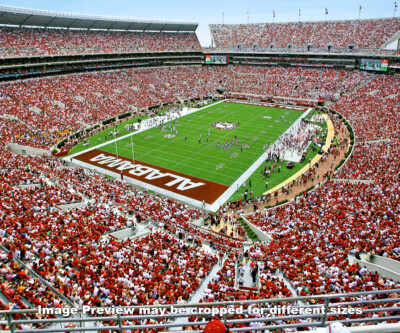 Alabama Crimson Tide Bryant-Denny Football Stadium Field 1140 8x10-48x36 CHOICES