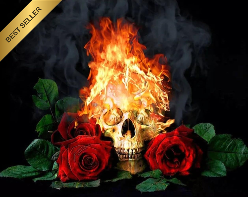 Diamond Painting Kits Flaming Skull Rose round Dot Art Embroidery Kit for Beginn