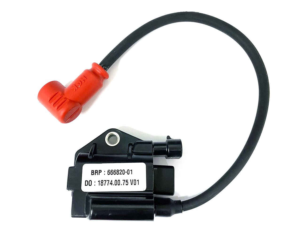 ボタン Rotax Max Genuine Ignition Coil Earth Strap Go Kart Karting