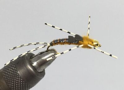 One Dozen (12) - Tungsten Beadhead Stonefly - Golden - Nymph