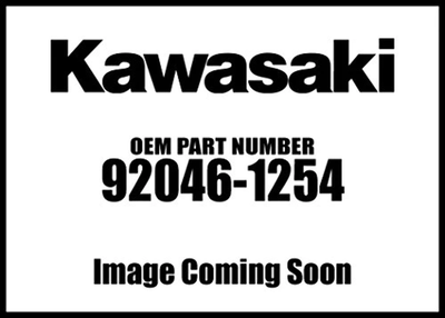 2020 kx100 deals
