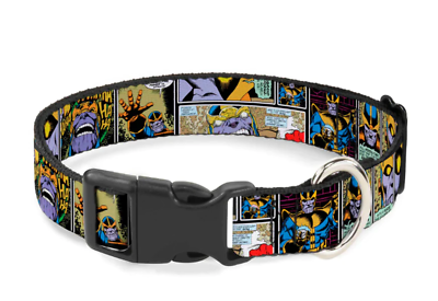 Vibrant stage setup at the 2025 Epson Tour