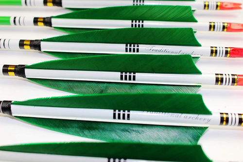 12Pcs 33inch Carbon Hunting Arrows Archery Target Arrows with 5" Turkey Feathers
